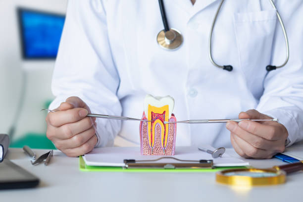 Best Chipped Tooth Repair Near Me  in K I Sawyer, MI